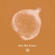 Own This Groove (feat. Liyv)