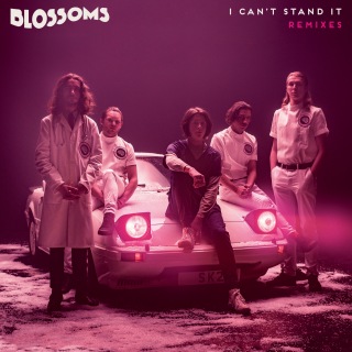 I Can't Stand It (Remixes)
