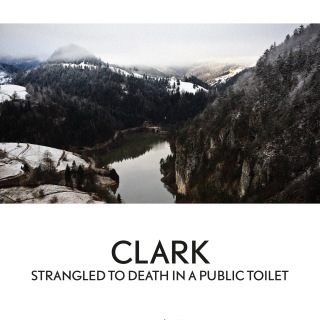 Strangled To Death In A Public Toilet