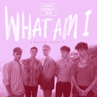 What Am I (SONDR Remix)