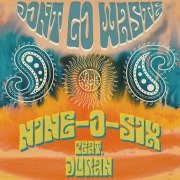 Don't Go Waste (feat. DURAN)