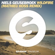 Wildfire (Mathieu Koss Remix)