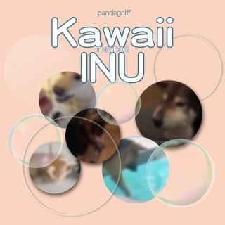 Kawaii inu