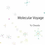 Molecular Voyage