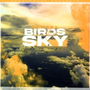 Birds In The Sky (Morgan Seatree Remix)