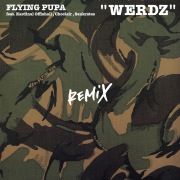 WERDZ (remix) feat. Kardinal Offishall, Choclair, Saukrates