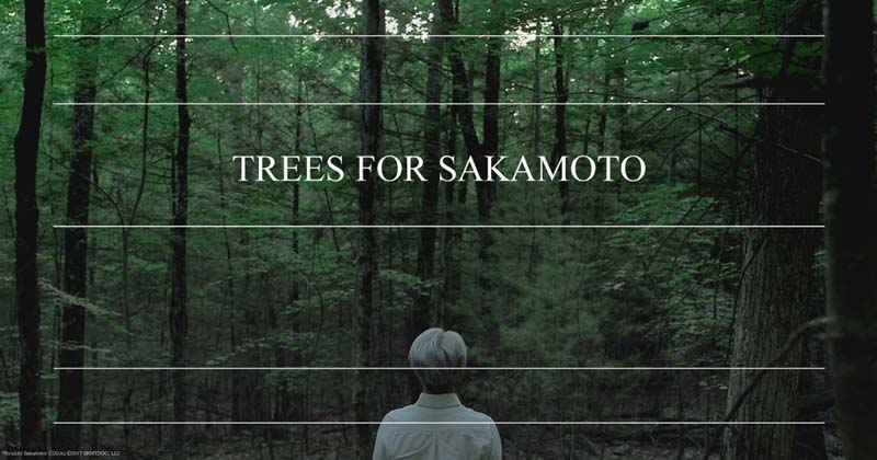 坂本龍一の思いを継ぐ植樹活動〈TREES FOR SAKAMOTO〉寄付受付を開始