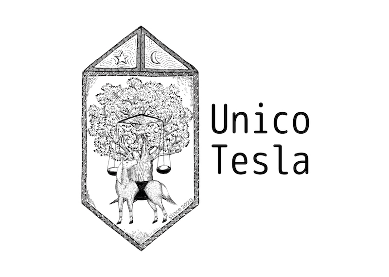 amiinAを含めた新プロジェクト“Unico Tesla”始動